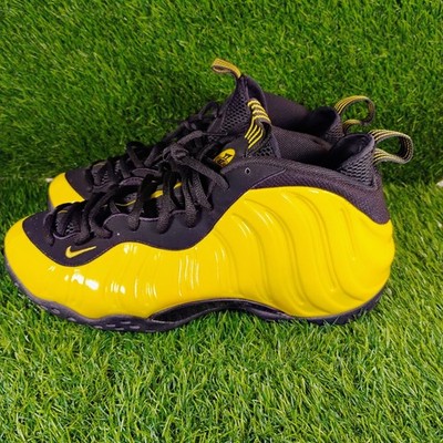Size 13 - Nike Air Foamposite One Wu Tang