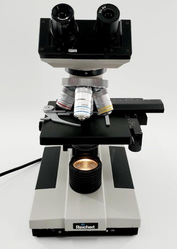 Reichert Jung 310 Compound Microscope - Picture 2 of 8