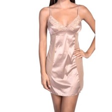 Satin  Sheer Mesh Slip With Panty Nude