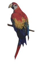 Scarlet Macaw Magnet - Scarlet Macaws - Scarlet Macaw Fridge Magnet P1-JM