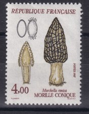 France année 1987 Flore et Faune Champignon Morille  Conique N° 2490** réf 7534