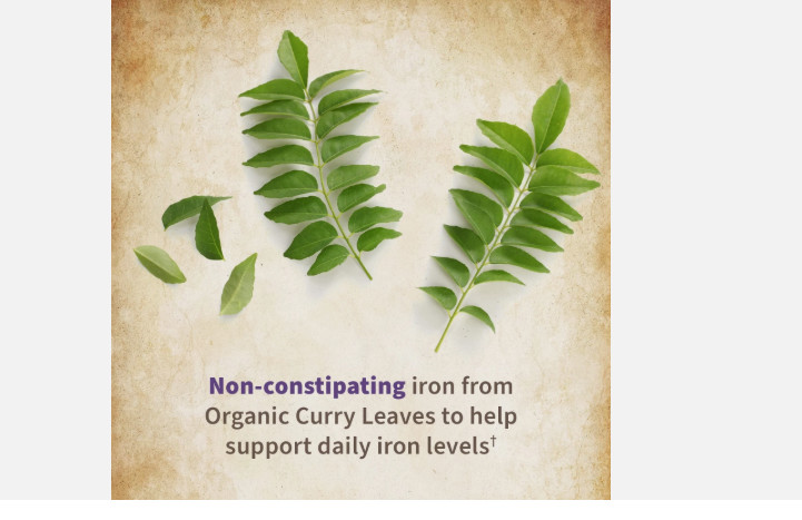 Garden Of Life Mykind Organics Prenatal Multi 90ct