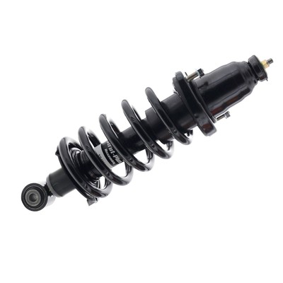 For Honda Element 03-11 Complete Strut Assembly Strut-Plus Rear Driver Side
