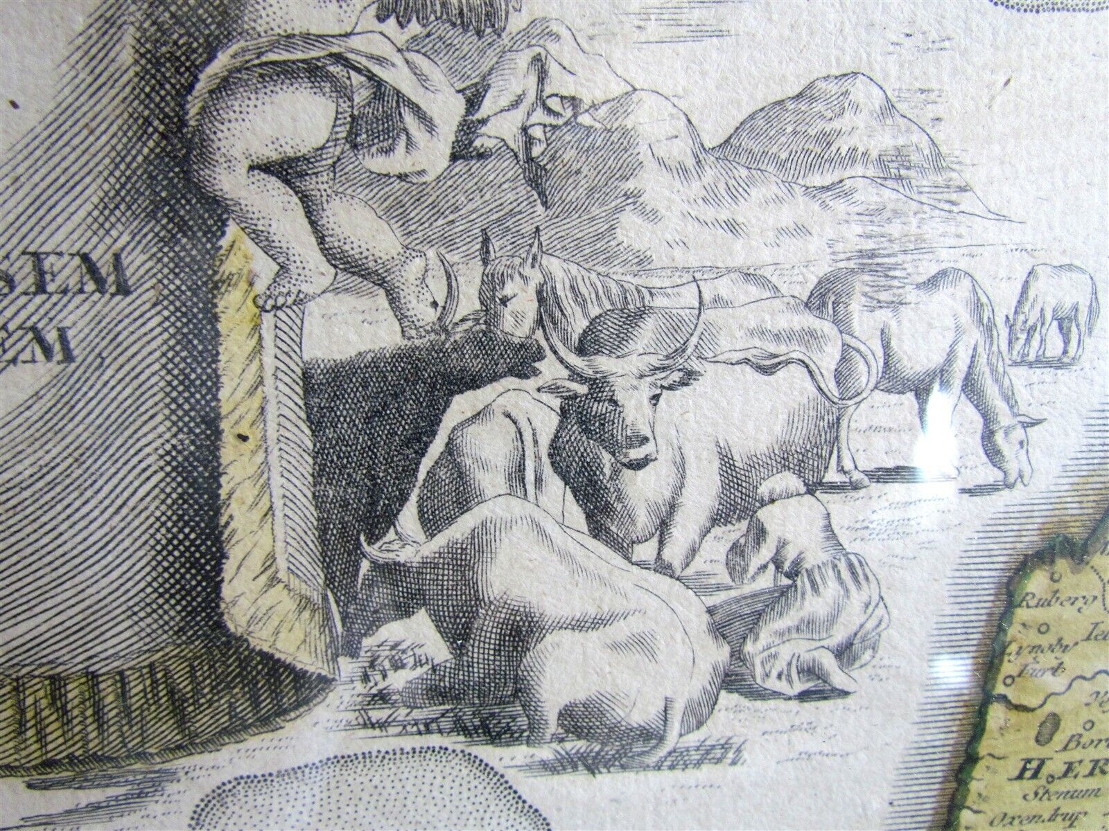 Picture 4 of 5
