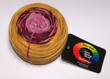 4oz Done Roving FROLICKING FEET TRANSITIONS HandPainted Merino Yarn #26 DOWNTON