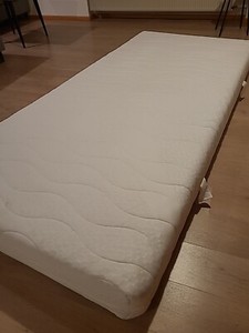 wo kann man aloe vera pflanzen kaufen Aloe vera Duo | Sukkulenten main image 0