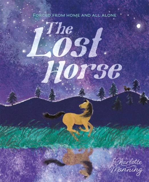 The Lost Horse by Charlotte Manning (Paperback Book)