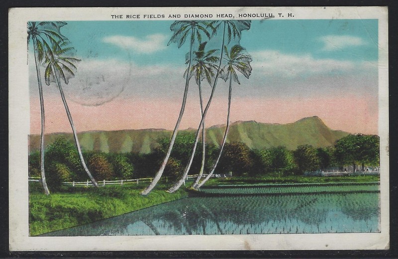 1937 Hawaii Postcard - Rice Field and Diamond Head - Mailed from Pearl City