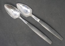 Stainless Steel Grapefruit Spoon Set of 2