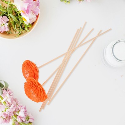 Raumduftdiffusor Aromatherapie-Stäbchen Diffuser Diffusorstab Raumduftstäbchen
