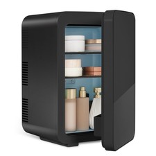 Mini Fridge 10L Portable Table Top Electric Small Cooler Warmer Ice Box Car Home