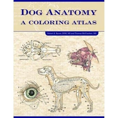 #ad Dog Anatomy: A Coloring Atlas spiral bound Kainer Robert McCraken Thomas... $21.15