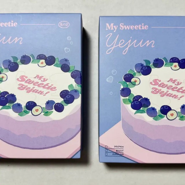 Yejun 2024 Birthday Kit with Photocard, Keyring, Letter, and Binder - New