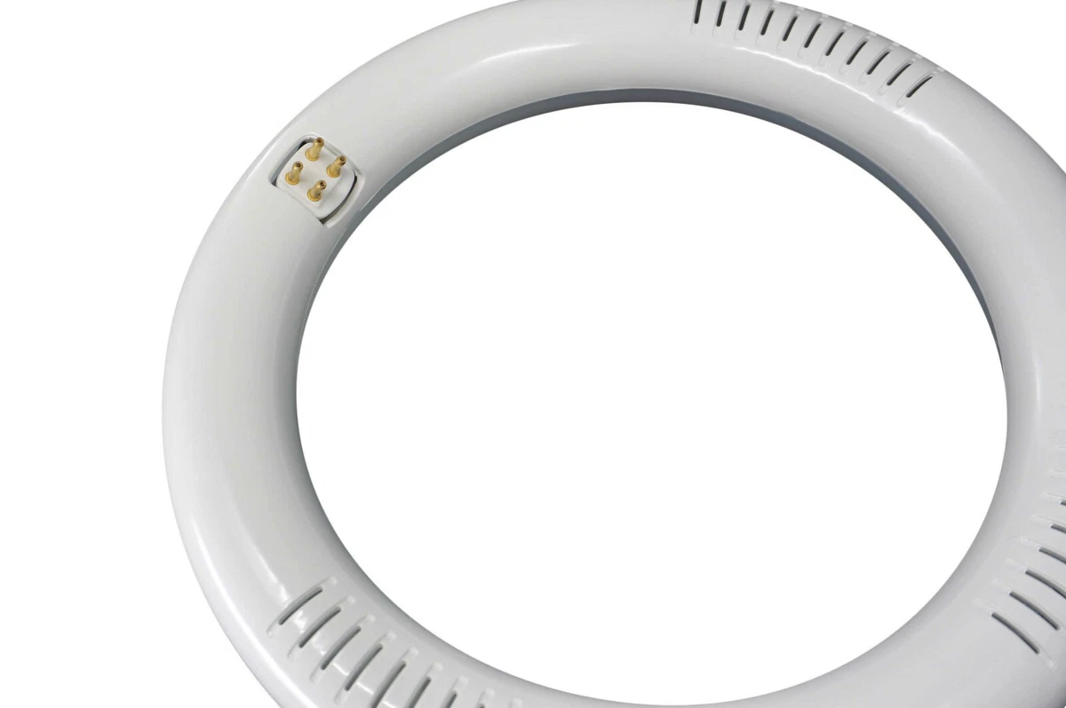 8 Inch Daylight 6000K T9 Circline LED Relamp 22W Fluorescent