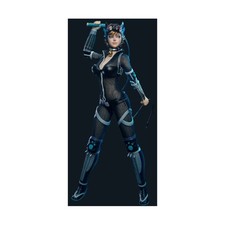 Catwoman Deluxe Version NM