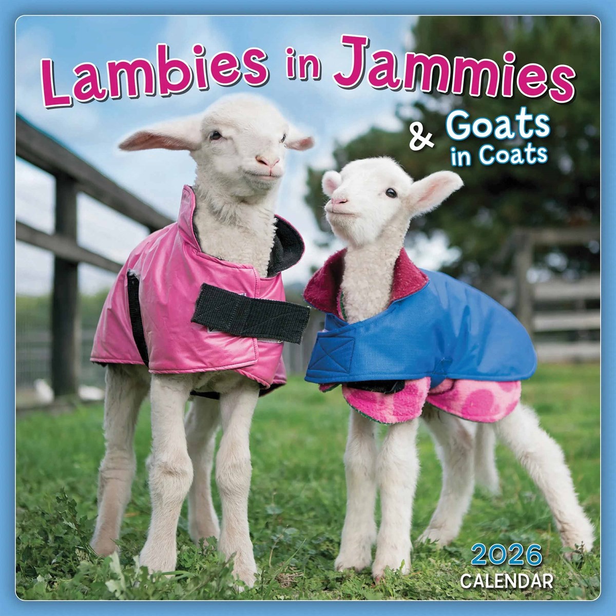 Lambies In Jammies Mini Calendar 2026, Wall Calendars, Month To View, Gift