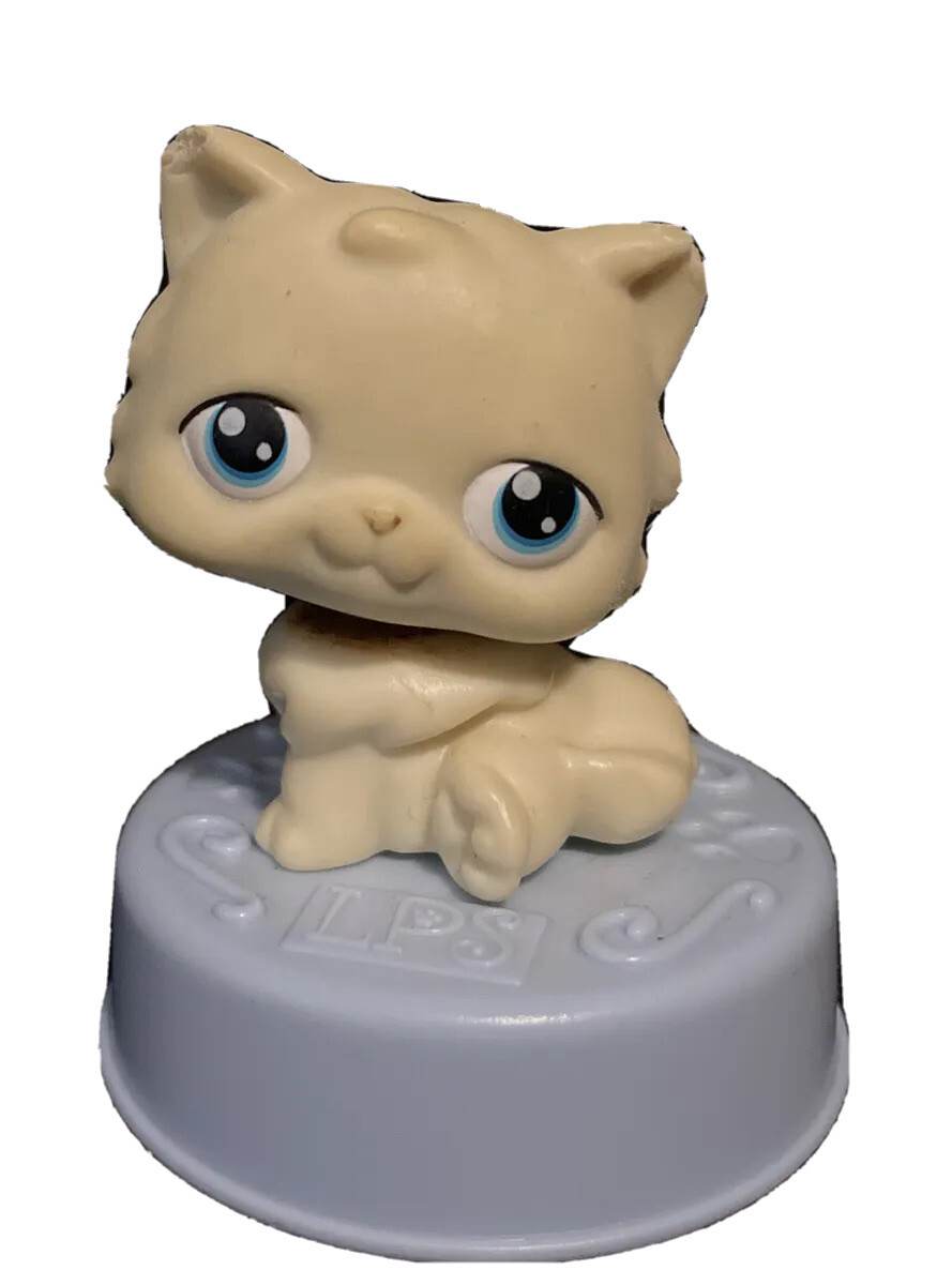 What Toys Do Persian Cats Like: Top Picks for Endless Fun