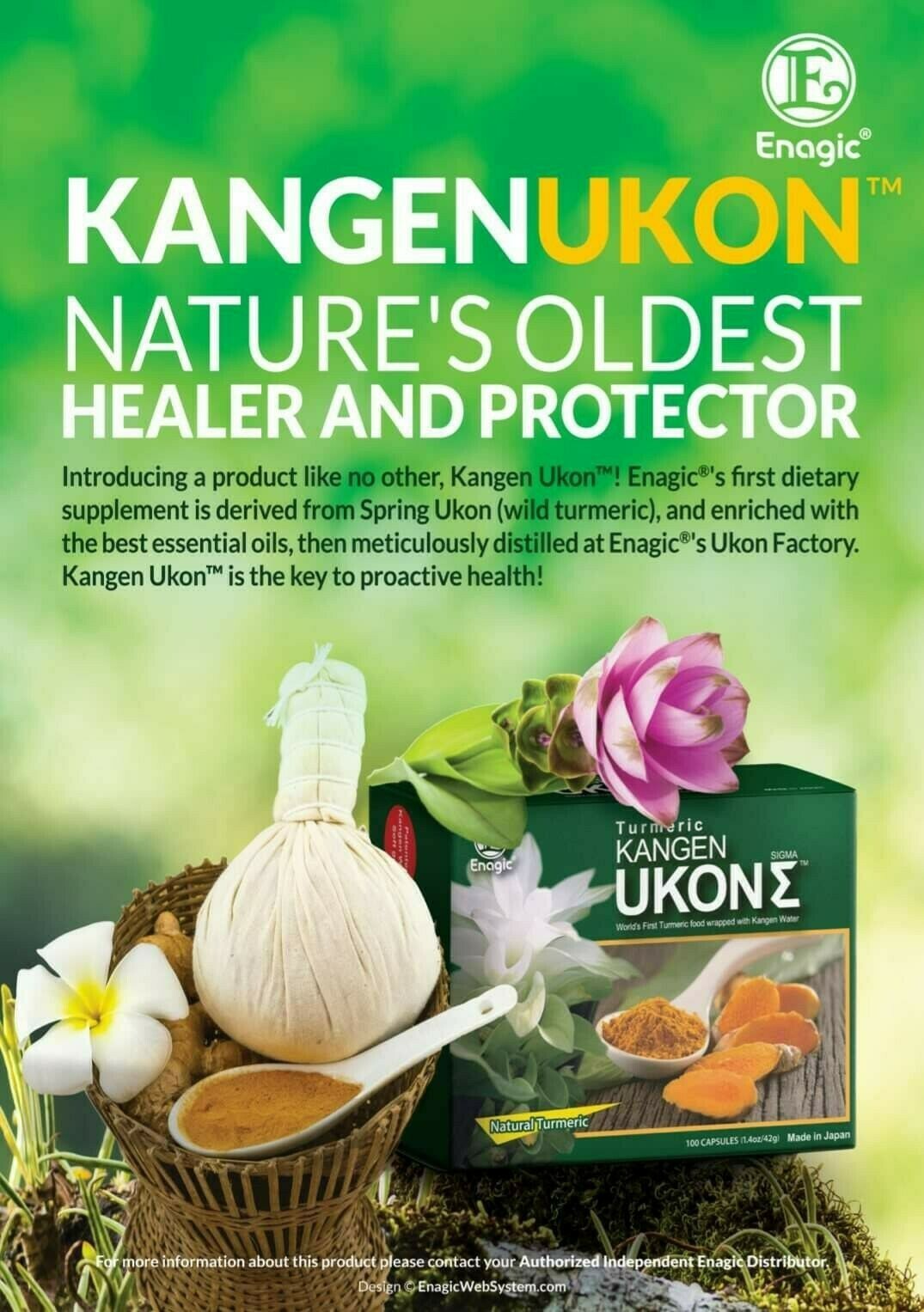 Kangen Ukon Turmeric ENAGIC 100 Organic Multivitamins Vegeterian MADE IN JAPAN eBay