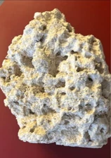 Unprocessed Dry Reef Rock!  55lbs!  $1 Per LB!