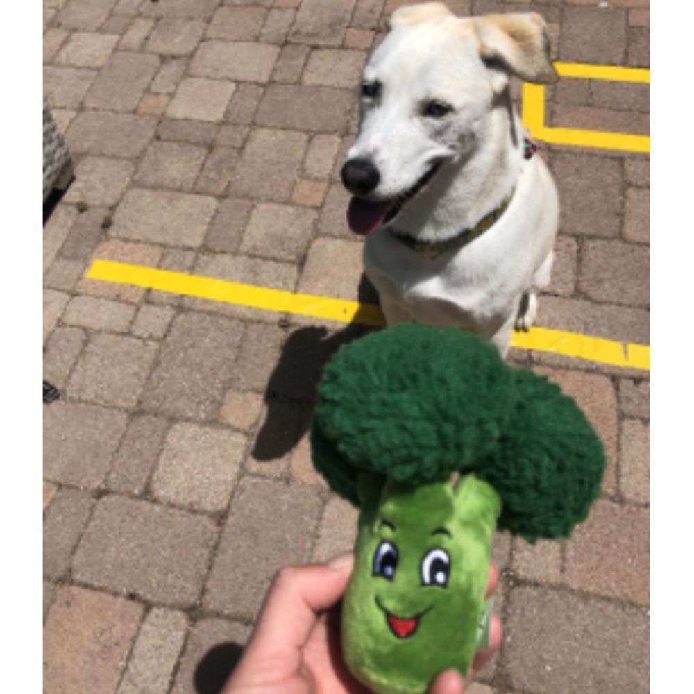Durable Broccoli Dog Toy Plush Dog Toys Squeak Toys Squeaky Crinkle