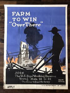 Original Large WW1 Department Of Labor Poster Boys 16-21 ...