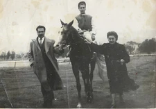 #30086 Greece 9.5.1952. Horse for racing & owners. Professional photo GOULIELMOS