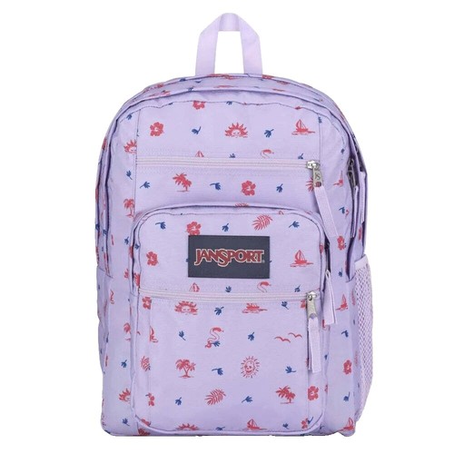 jansport chevron lunch bag JANSPORT Super Snack Lunch Bag - FADED SAGE - ONE SIZE
