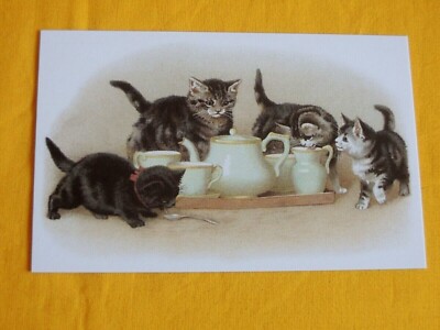 1x Postkarten vier kleine Katzen Geschirr Retro / Nostalgie Tiere Kätzchen Kanne