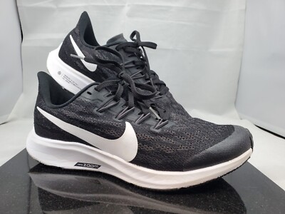 air zoom pegasus 36 tb