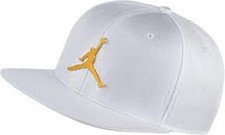 Air Jordan Jumpman Elephant Print Ignot Pro Snapback Hat White Gold ah1576-010