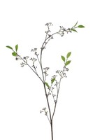 Artplants Kunststoff Zweig Scheinbeere Pauahi Mit Beeren, Lila-Weiß, 140Cm
