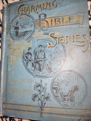 Charming BIBLE STORIES From Youth to Old Age 1893 Northrop Profuse Antique Book