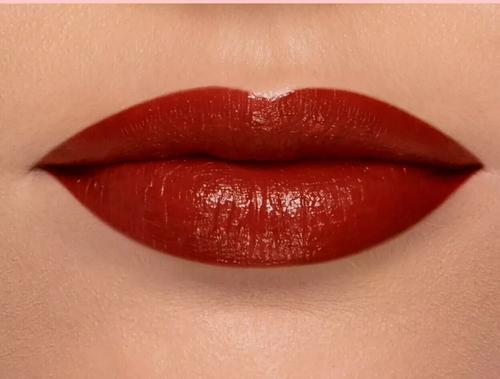 Too Faced Lady Bold Em-Power Pigment Lipstick 09 Be True To You New in Box - Picture 2 of 2