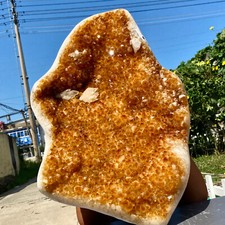 52.2LB  Citrine Crystal Gemstone Energizing Sunny Healer Geode With Stand Specim