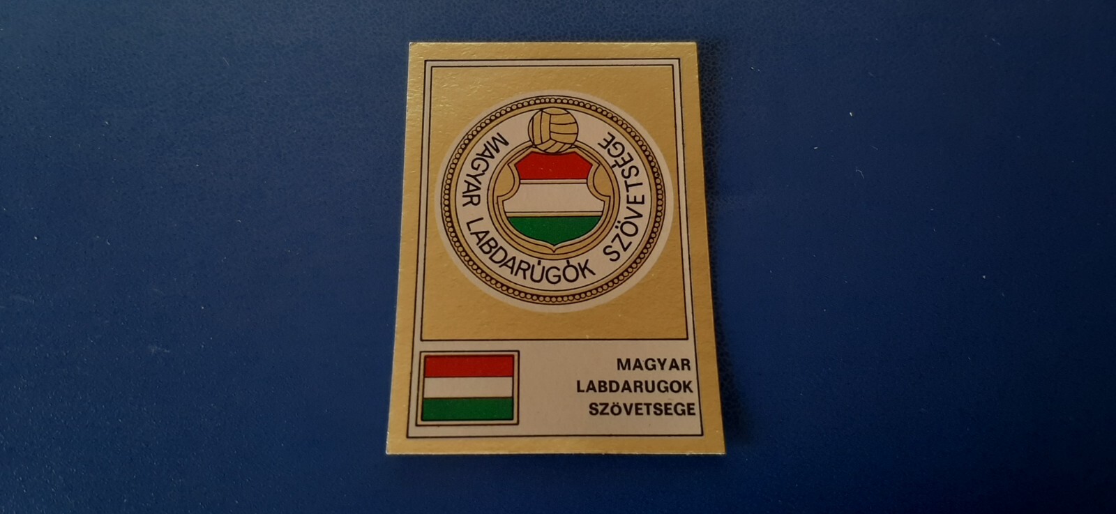 Zdjęcie 238 z 421