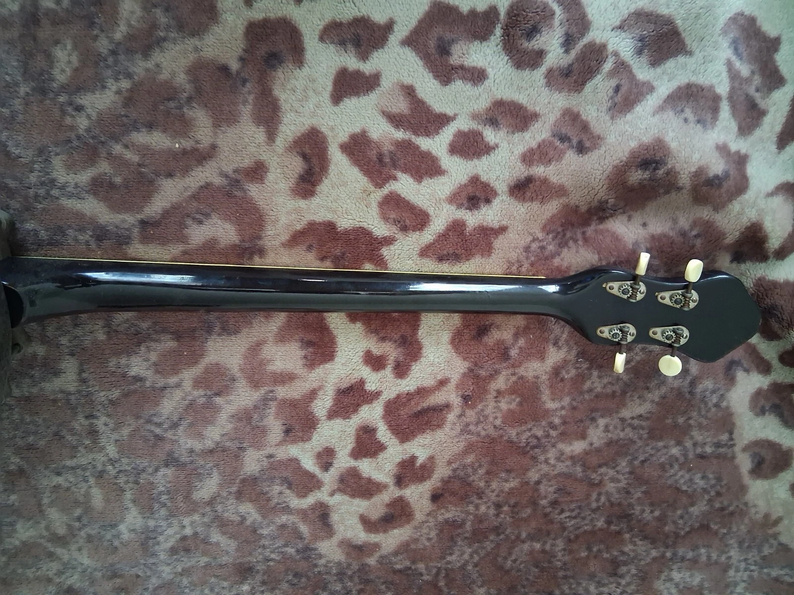Picture 5 of 6
