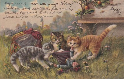 ANPC160) PC Kittens playing with a doll that has fallen from a pram in the garde