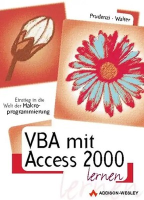 VBA mit Access 2000 lernen. Einstieg in die Welt der Makroprogrammierung