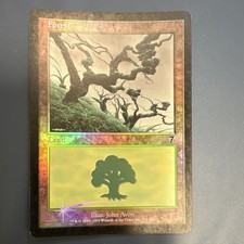Magic The Gathering Foil Forest Land Card John Avon 2001 English