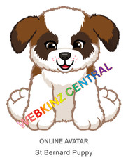 Webkinz Classic St. Bernard Puppy Code Only messaged