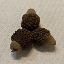 Triple Acorns with caps for crafts . Real acorns. Dried. Excellent condition.