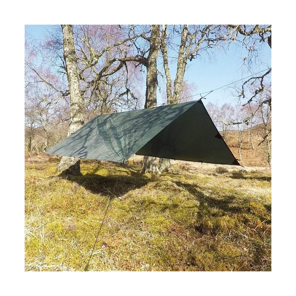DD Hammocks - DD Tarp 3x3 - Olive Green (10ft x 10ft) - 100