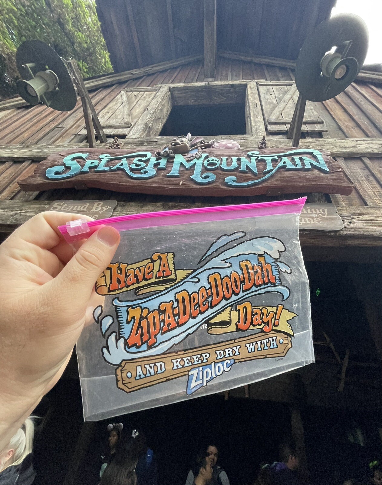 Disney World Splash Mountain Ziploc Bag ZipADeeDooDah Day