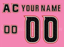San Diego Gulls Customized Number Kit For 2019 Pink Uniform