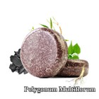 Bild 8 von 15