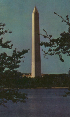 Washington Monument and Cherry Blossom Trees Wash. DC Chrome Vintage Post Card