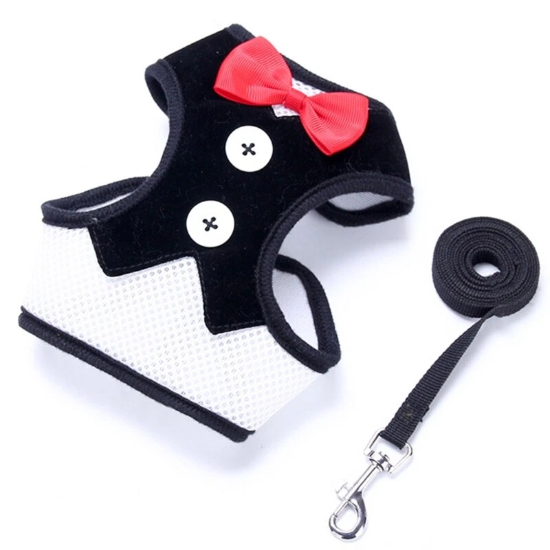 Dog Harness with Leash Set No Choke Puppy Breathable Vest for Small Dog