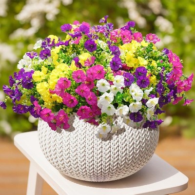 4PCS UV-Resistant Morning Glory   Aesthetic Garden Touch
