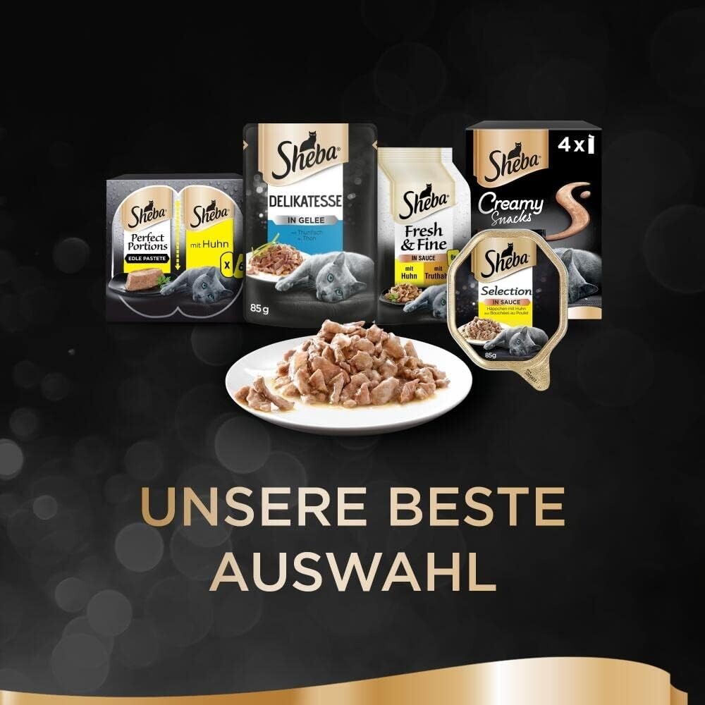 Bild 7 von 15