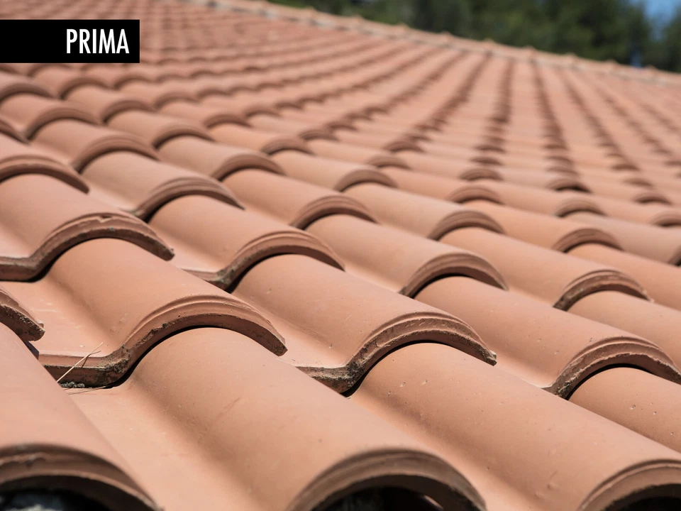 Protettivo Ravvivante per Mattoni e Cotto Impermeabilizzante GeoPaint - Immagine 2 di 3